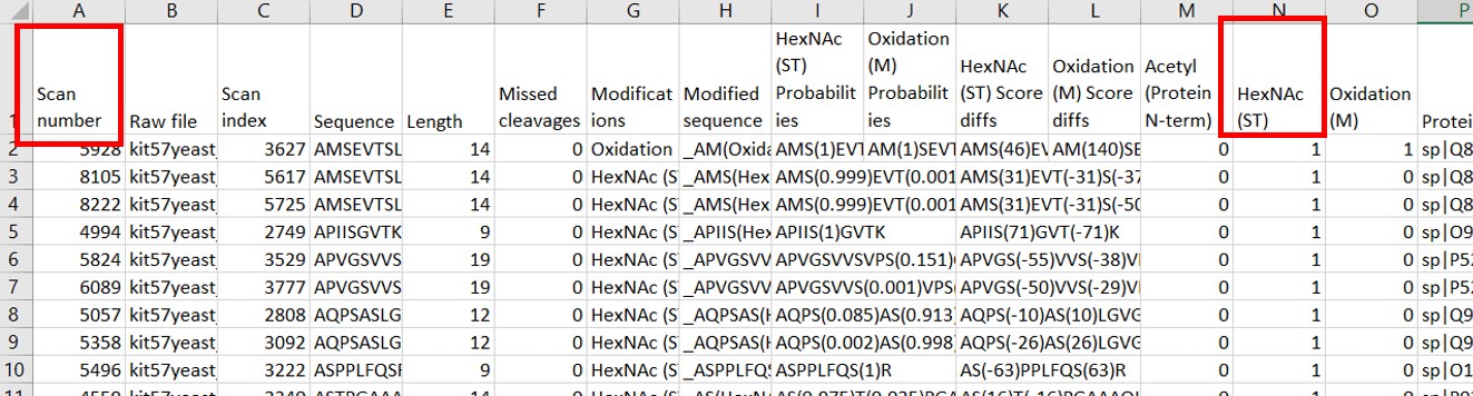 Example scan-number worksheet filtered for HexNAc modification