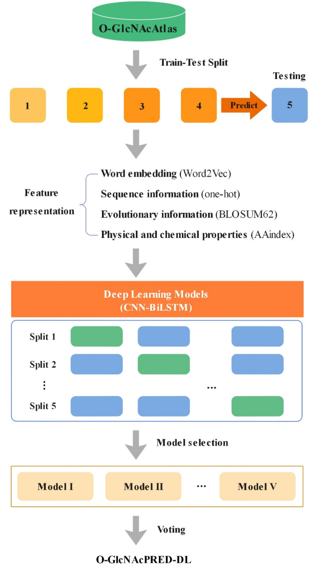 figure1